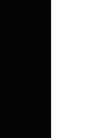 Anonymous logo