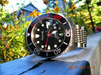 divewatchesjp logo