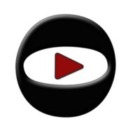 Digital Vision Multimedia Group logo