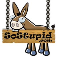 SoStupid.com logo
