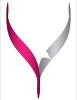 VirtGoose, LLC logo