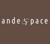 Andespace logo