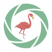 Flaminke logo