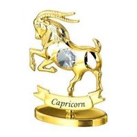 CAPRICORN 23 PRODUCTIONS logo