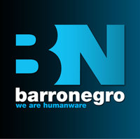 BarroNegro logo