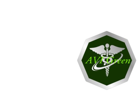 AVI Green logo