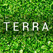 Terra logo