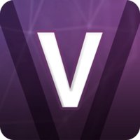 Vertiflux Commerce logo
