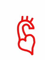 State of The Heart Innovations logo