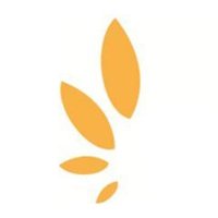 Golden Seeds logo