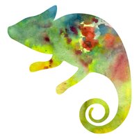 Chameleon.LA logo