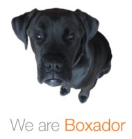 Boxador logo