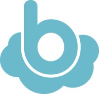 Burton Software Inc. logo