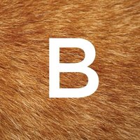 BARK logo