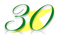 30Shock logo