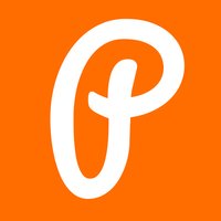 PeerAce logo