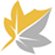 InfoElder.com logo