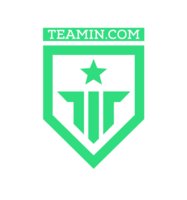 Teamin logo