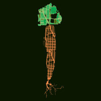 Farmers-Market.NYC logo