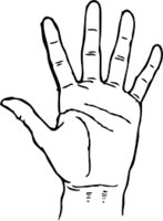 YouLearn logo