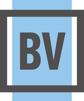 BrandVerity logo