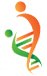 Pi Theta Technologies logo