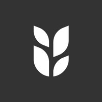 Grain logo