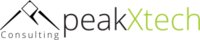 Peak Experience logo