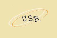 U.S.B. logo