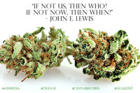 420MEDIA logo