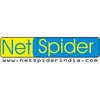 NETSPIDER -  indians International Development