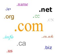 Brokers in Domains logo