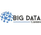 BIG DATA Careers logo