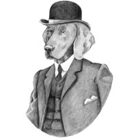The Tie Haberdashery logo