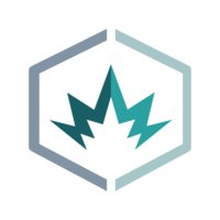DualSpark logo