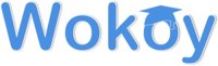 Wokoy Tutoring, Inc. logo