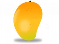 Mango Mobile Apps Ltd logo