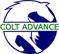 Colt Advance International Limited logo