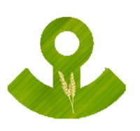 Input Agri Tech logo