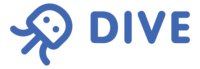 DIVE Networks logo