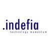 Indefia -  embedded hardware and software