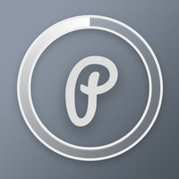 Perfect Plug logo
