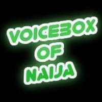 Voicebox Of Naija logo