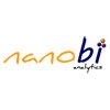 Nanobi data and analytics -  analytics
