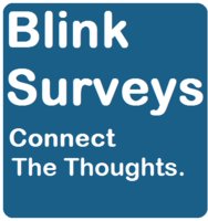 Blink Surveys logo