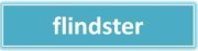 Flindster Social Buzz logo