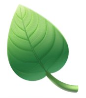 Leaf logo