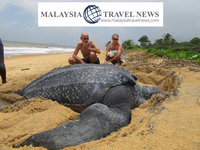 Malaysia Travel News logo