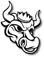 Staking.com logo