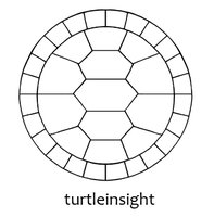 Turtle Insight logo